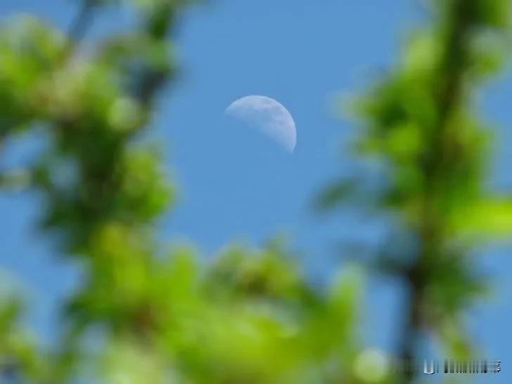 谒金门 · 和从善二首

作者：赵师侠

其一

花夜雨。渺渺绿波南浦。擘絮晴云