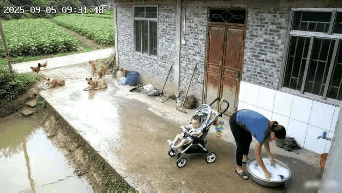 没有我还真不行