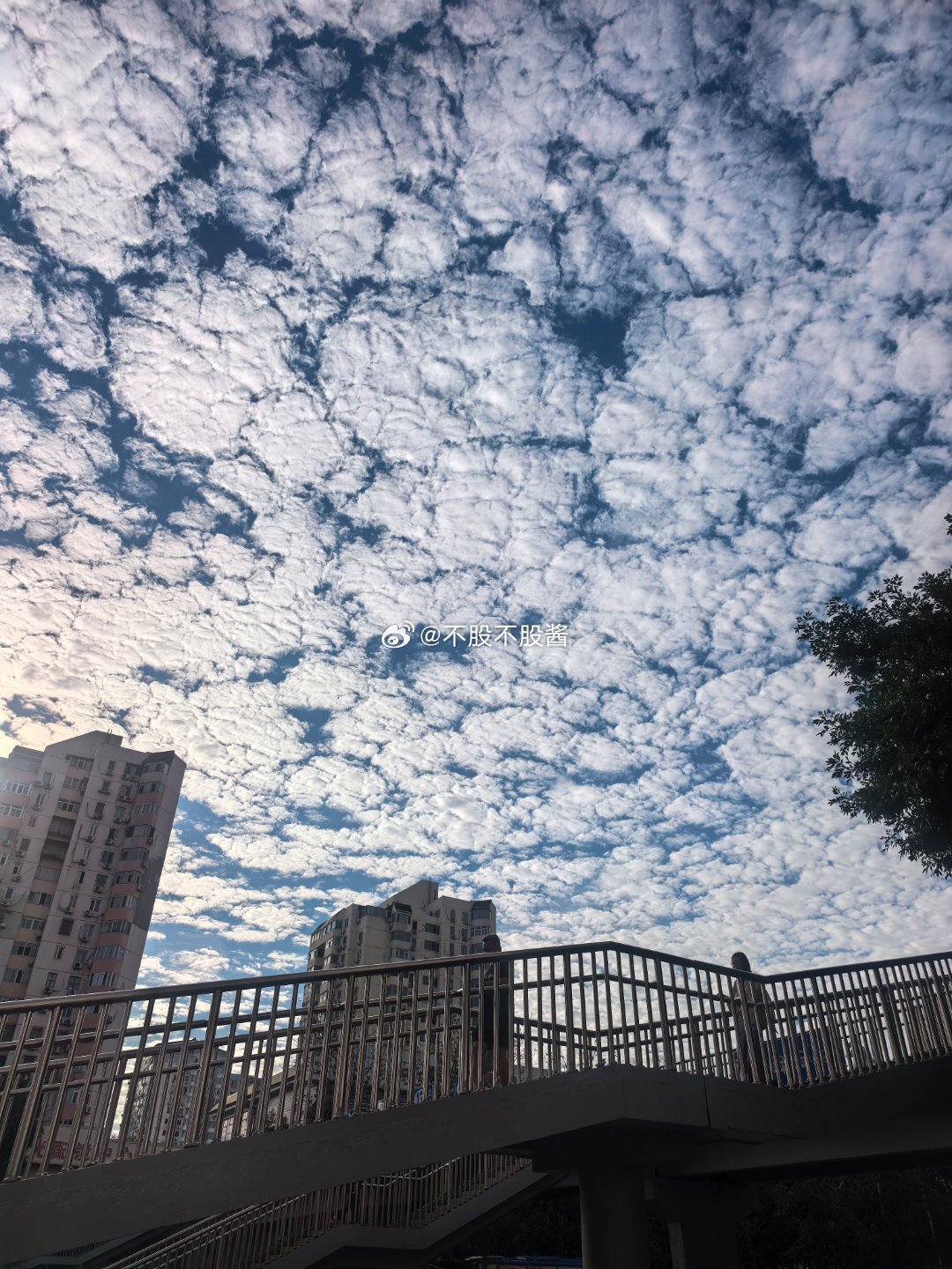 这是什么云呀 ​​​