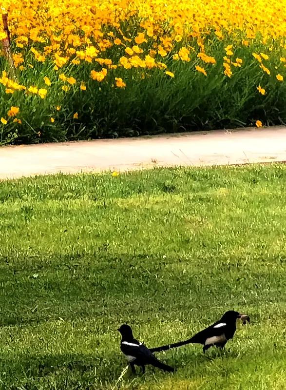 一个家，什么最重要？这答案绝不是豪华房子、丰厚存款。
和睦可比富贵重要多了。“家