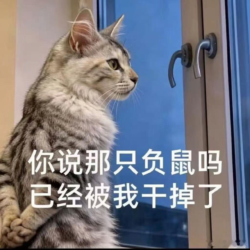 比邻星 楼猫一