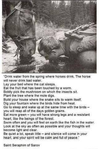 「喝马喝的泉水，因为马不会喝不好的水。睡在猫睡过的地方。吃被虫子碰过的果实。大胆