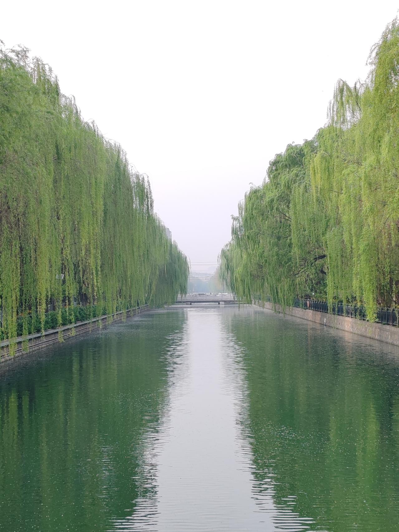 父母在，家就在；父母亡，家便散。这并非时代问题，而是历史的必然。古人所说的开枝散