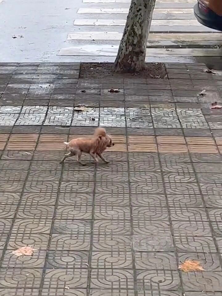 第一次见这么潦草的修勾[开学季] ​​​