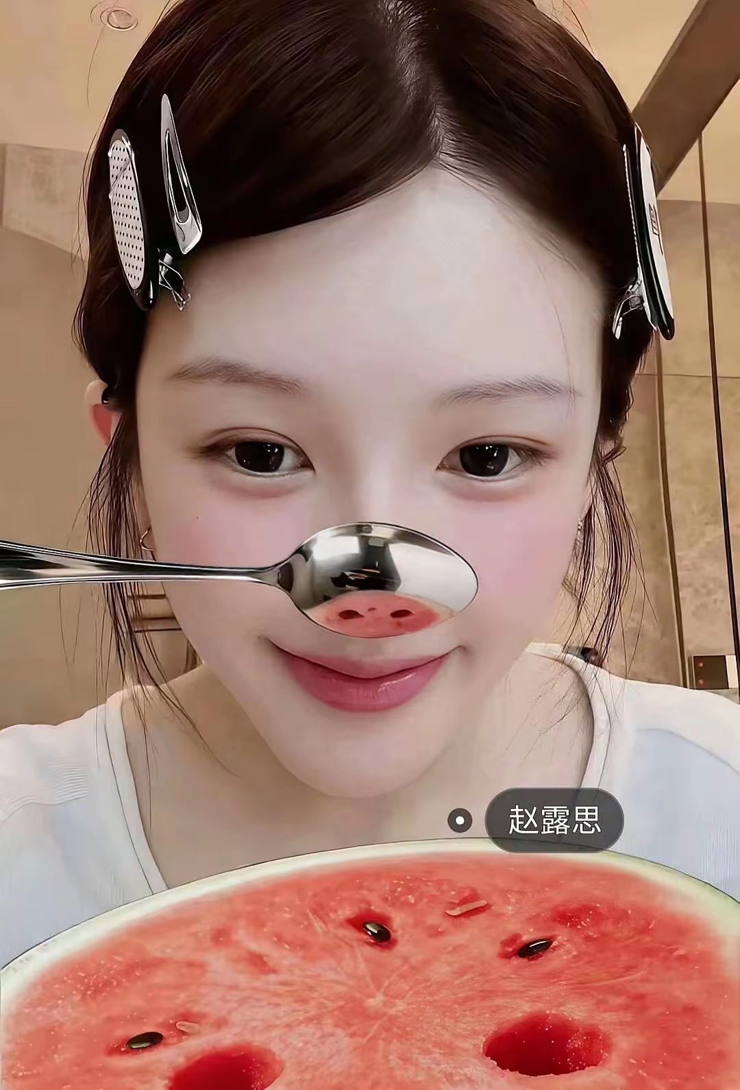 猪塑好萌 你们最喜欢谁呢 
