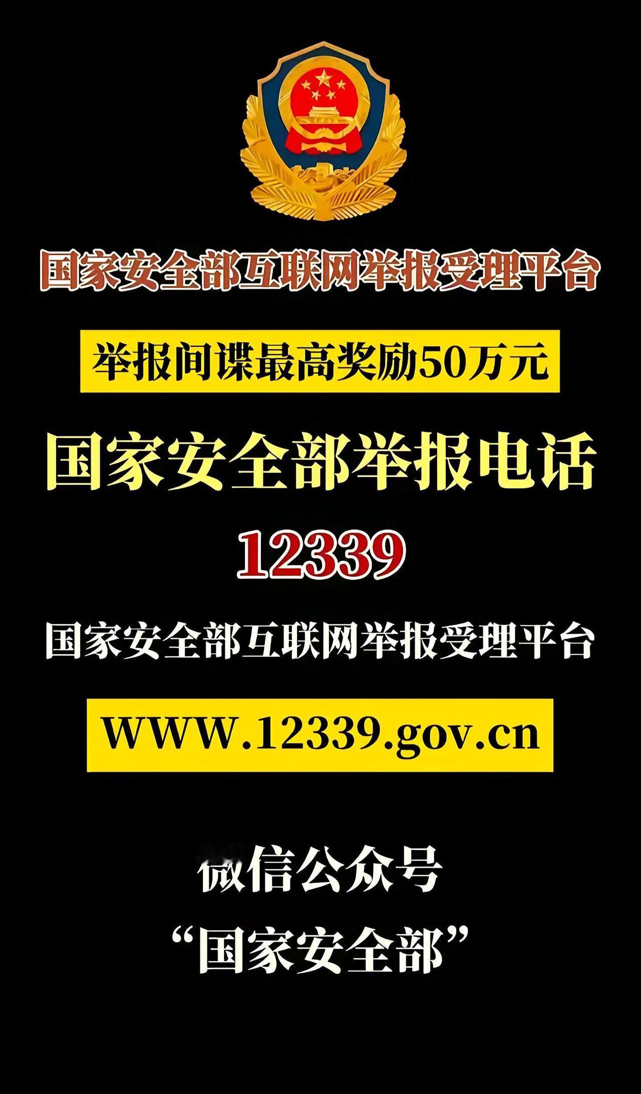 依法打击境内为日本间谍机构服务的违法行为，防范技术窃密和舆论渗透。强化东海、钓鱼