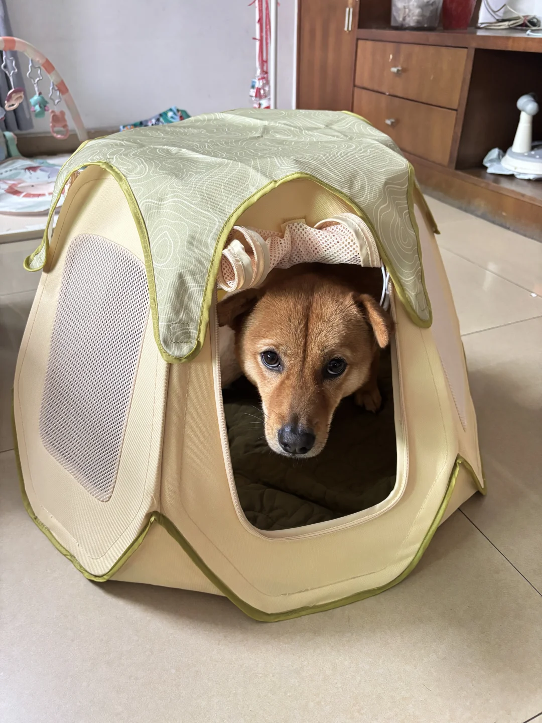 山姆帐篷