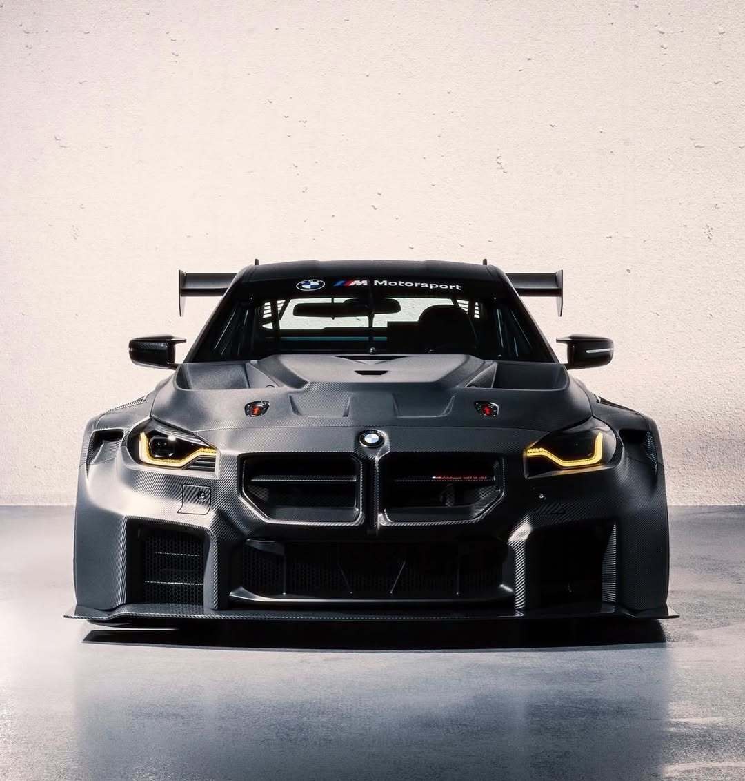 等等，宝马M2 GT3？！宝马官方车手奥古斯托·法夫斯在个人社交媒体上分享了一组