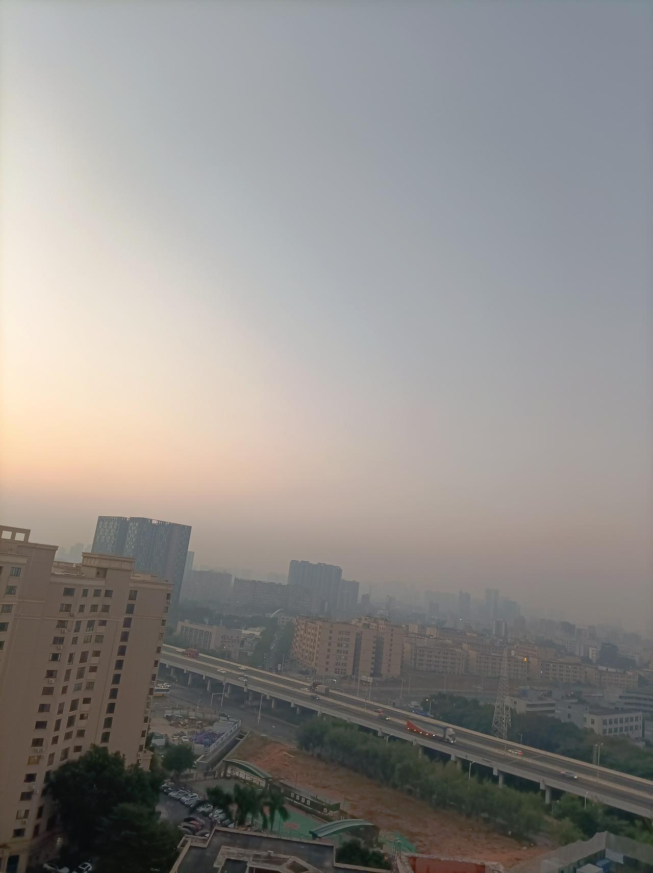 随手拍张照快元旦了，但深圳还在秋天，今天的最高温度是24度，刚穿二天的羽绒服又脱