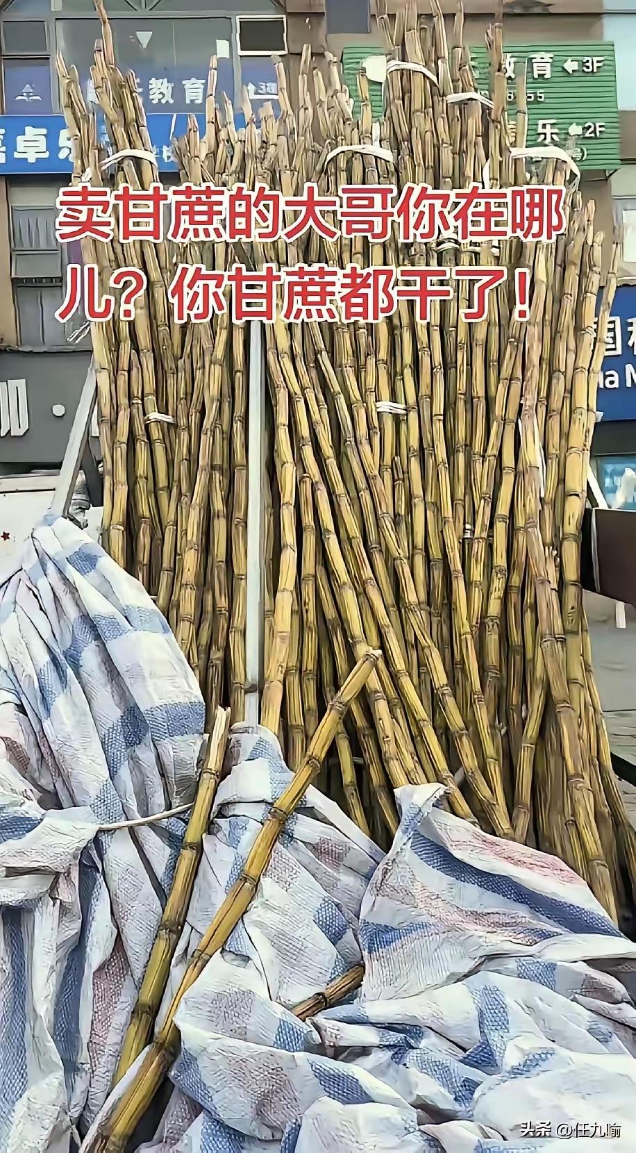 四川，一男子发现，楼下常年摆摊卖甘蔗的大哥从过年之后就没出摊了，路边三轮车上的甘