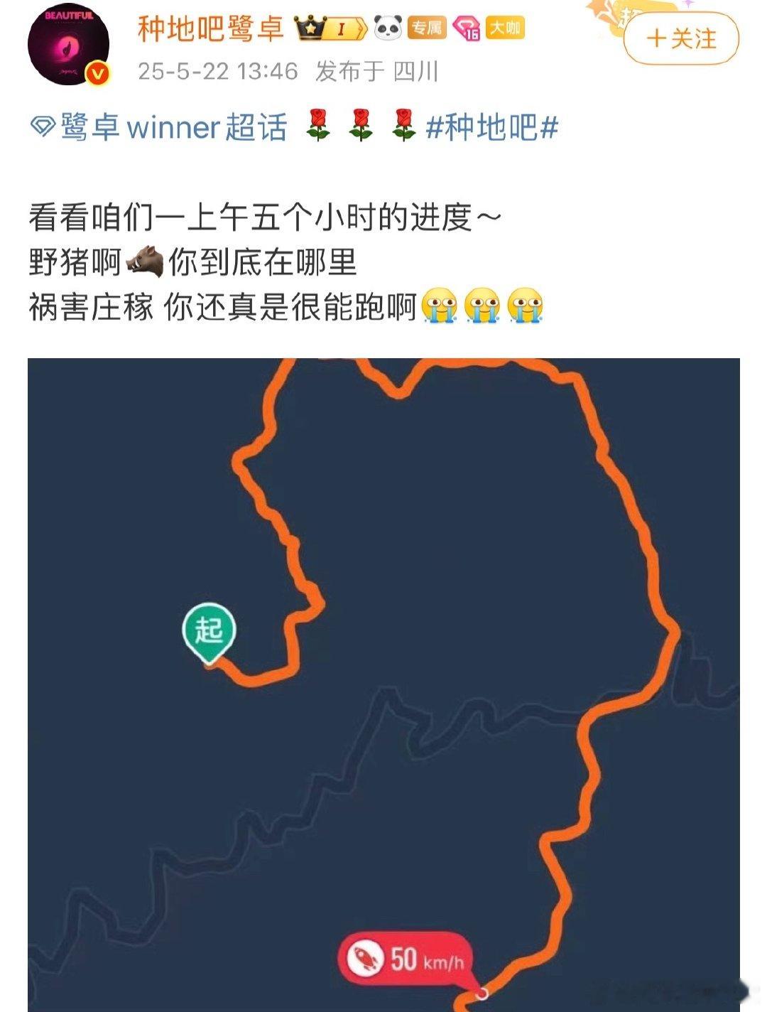 鹭卓晒上午五个小时的进度鹭卓说野猪还真是很能跑啊太难了，野猪跑得跟飞一样，咋都抓
