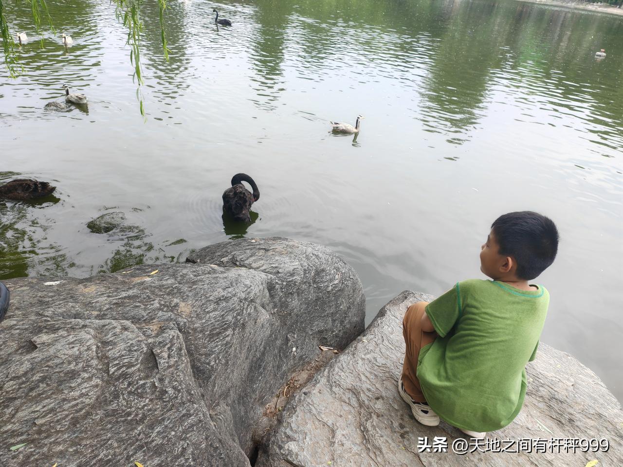 刚刚看到一个补习班老师的朋友圈发文说：很多家庭中，孩子没有敬畏之心，再有家长错误