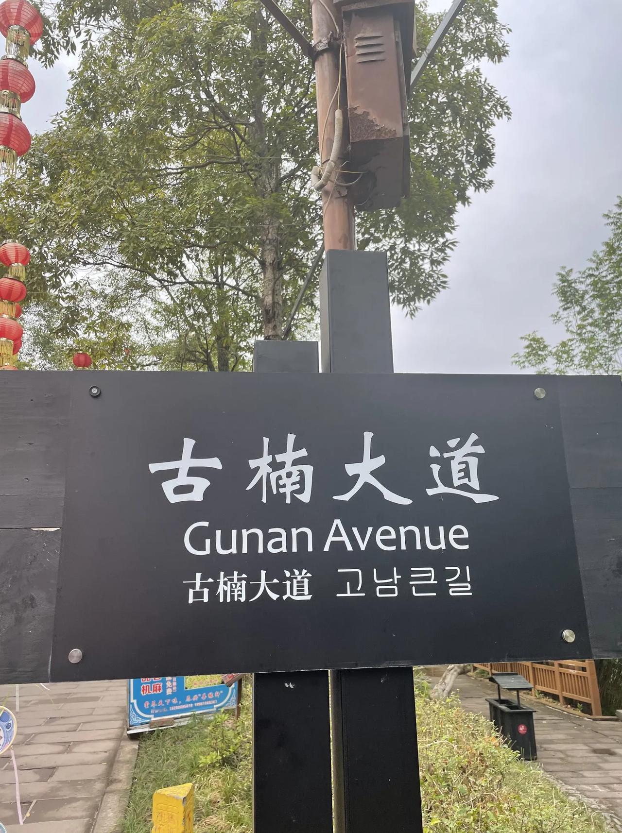 古楠大道
        ——南木子
龙凤古镇楠大道，
灯笼虽旧还不少。
三五成