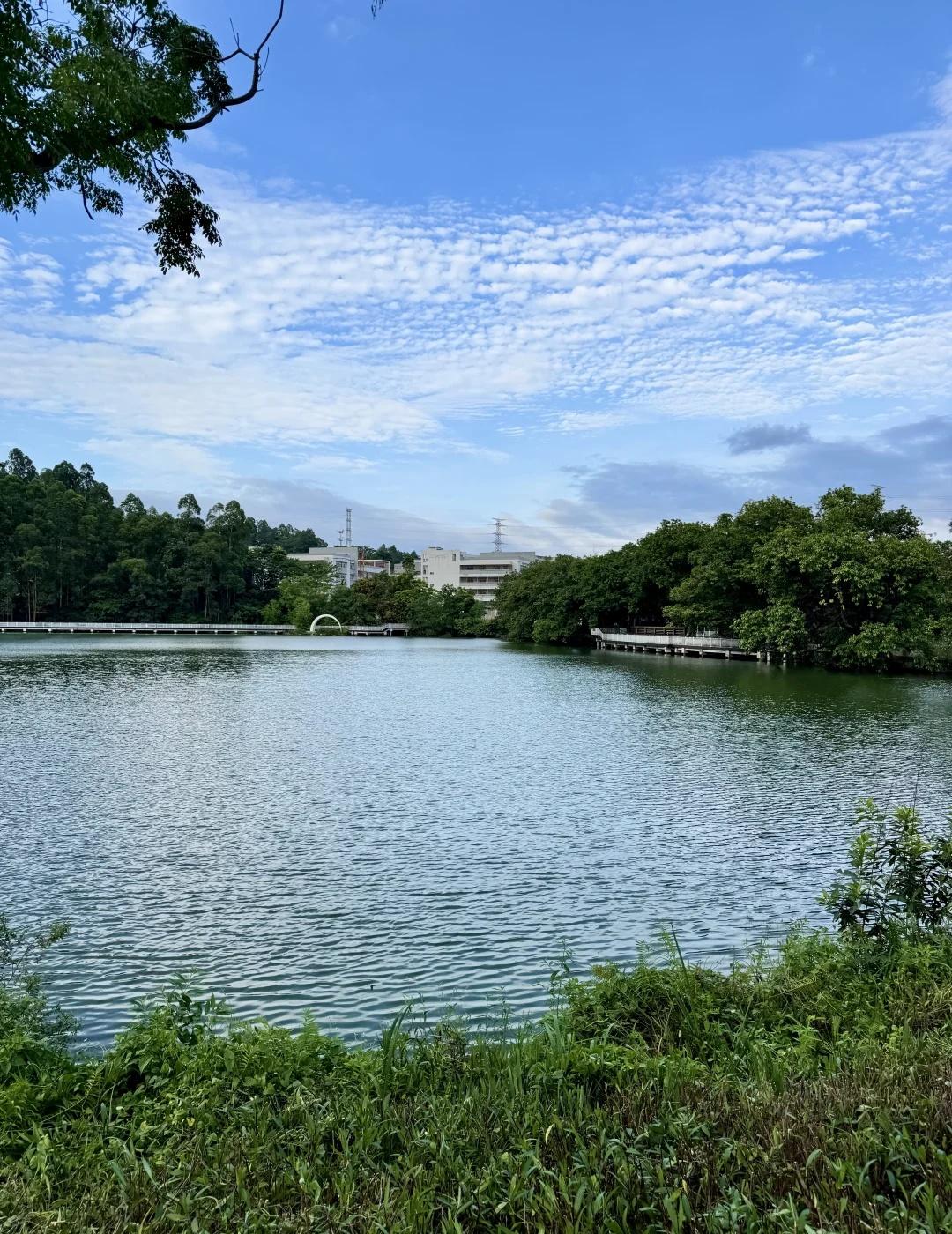 广州突然切入春天？
今天的天空堪称完美，阳光和煦，凉爽有风🍃
	
春天 生活美