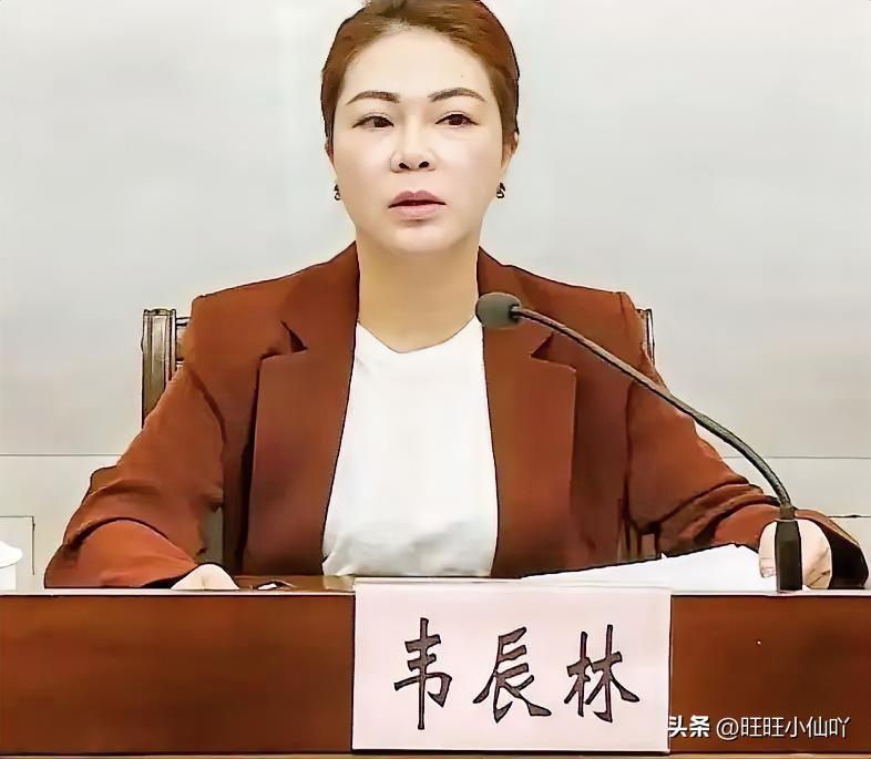 真讽刺，管精神文明的部长，自己却沉迷在牌桌上。

合山市那位80后宣传部长韦辰林