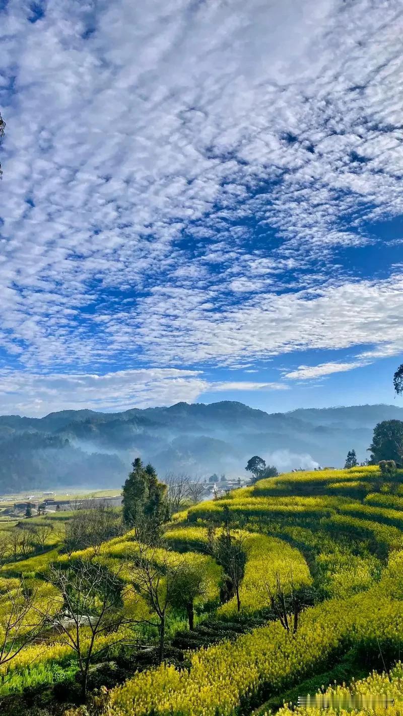 现在国家越来越重视农村建设和治理，一日来，连续颁布几条重要举措促进和改善农村建设