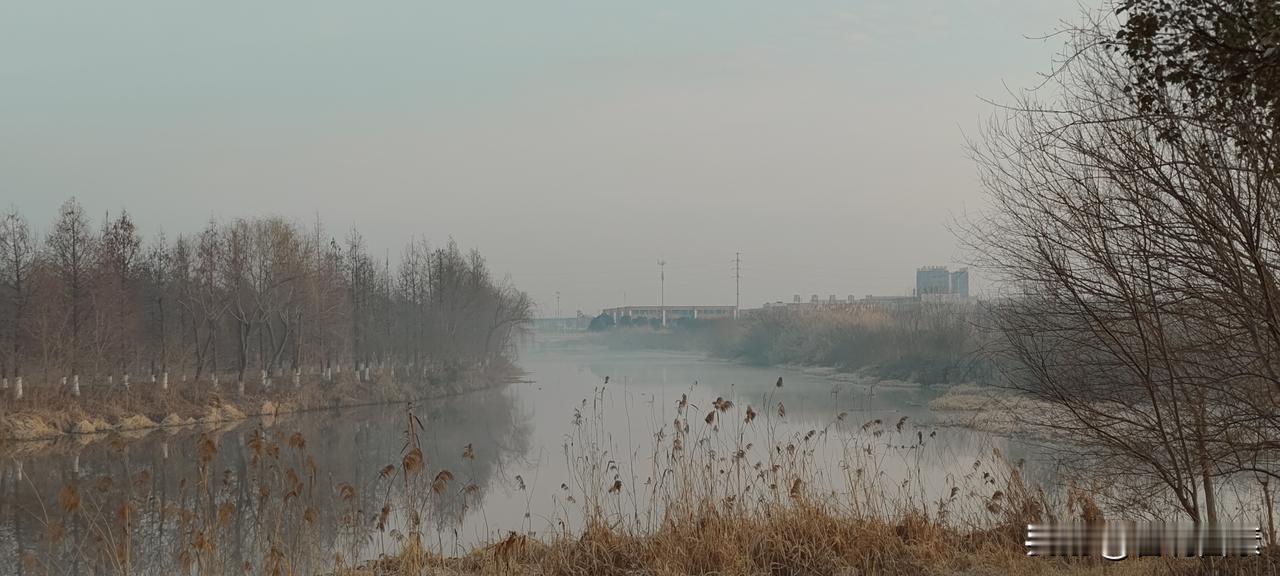 追星，我只追这几个
年纪大了，也不是不追星，有些星已经追了几十年了，有些星是这些