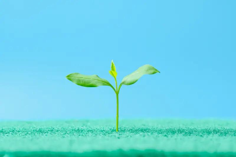 在逆境中寻找成长机会，其实是一场自我蜕变的旅程。生活中的困难就像暴风雨，总会不期