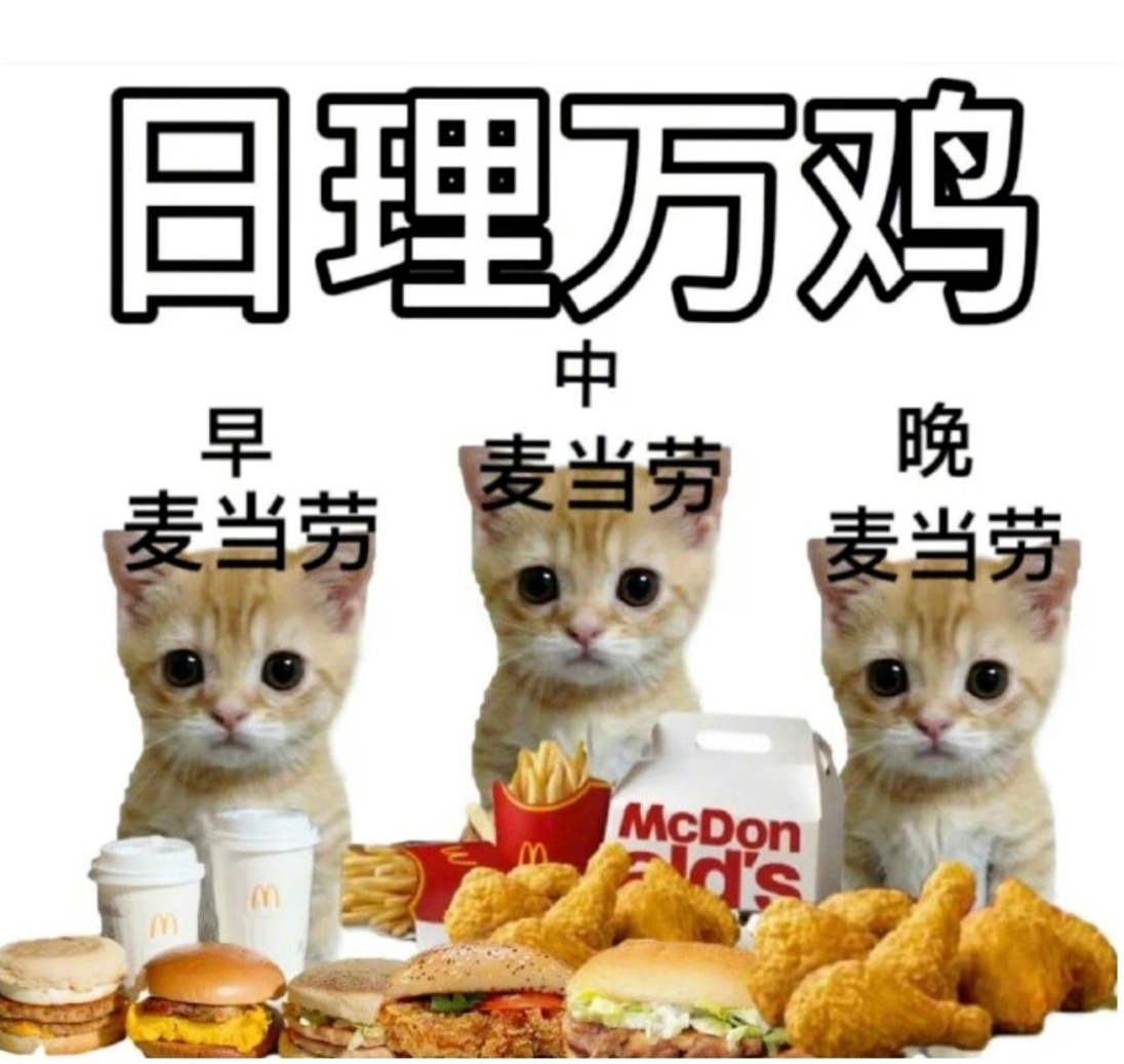 真是我他mua出去玩儿一趟更新的微博都没有跟火鸡对骂来的多，耽误好多其他正经更新