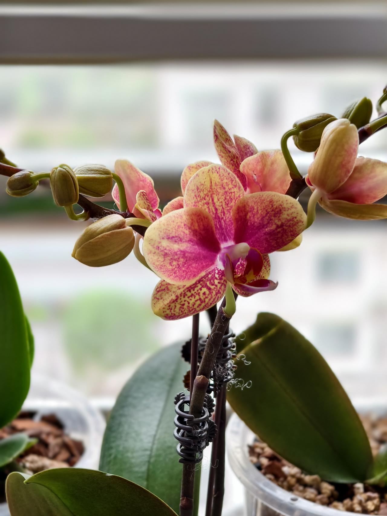 去单位办事正好看见年轻人找主管部门领导屏住呼吸先听听人家办公室有没有动静，然后小