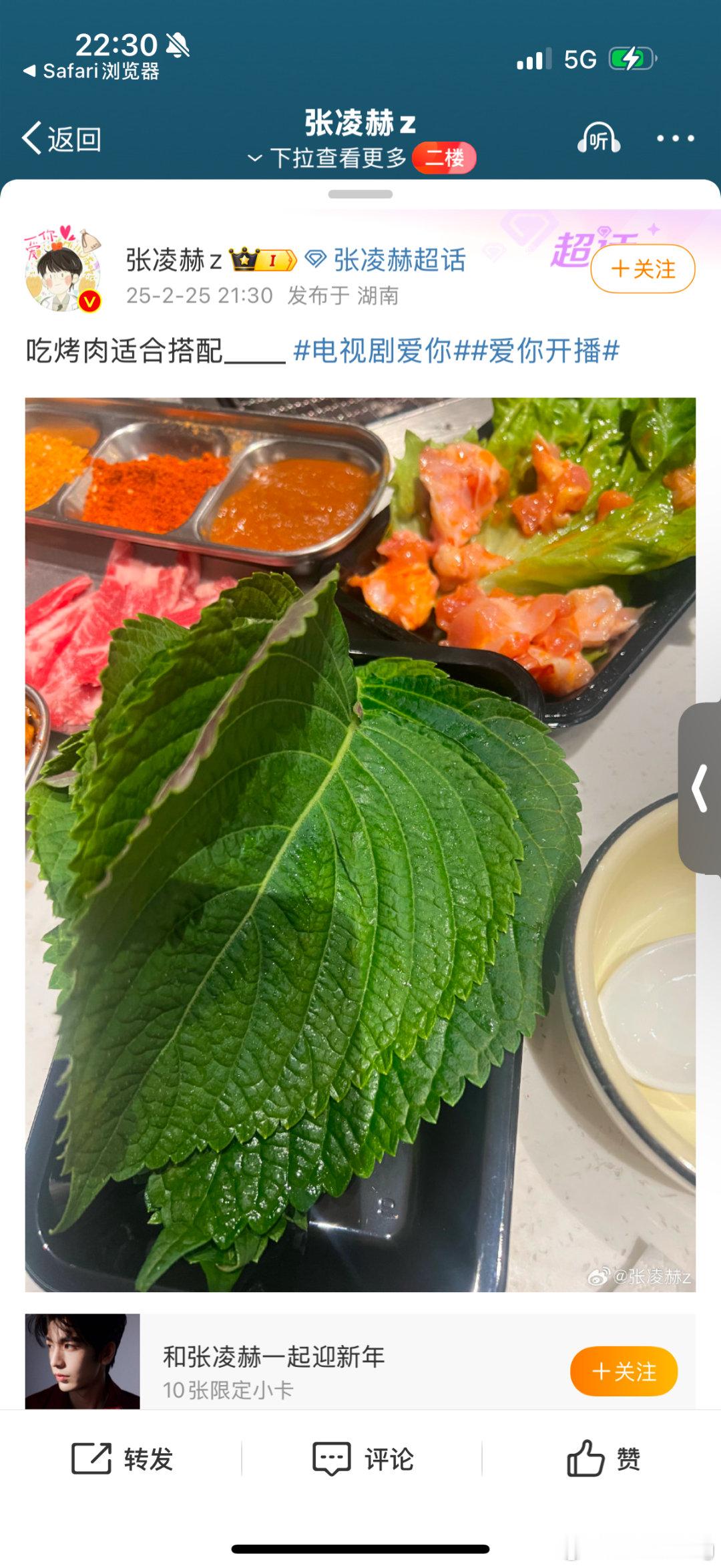 电视剧爱你[超话]  不是我请问呢，紫苏叶不是从小到大吃的吗，怎么突然就变成别人