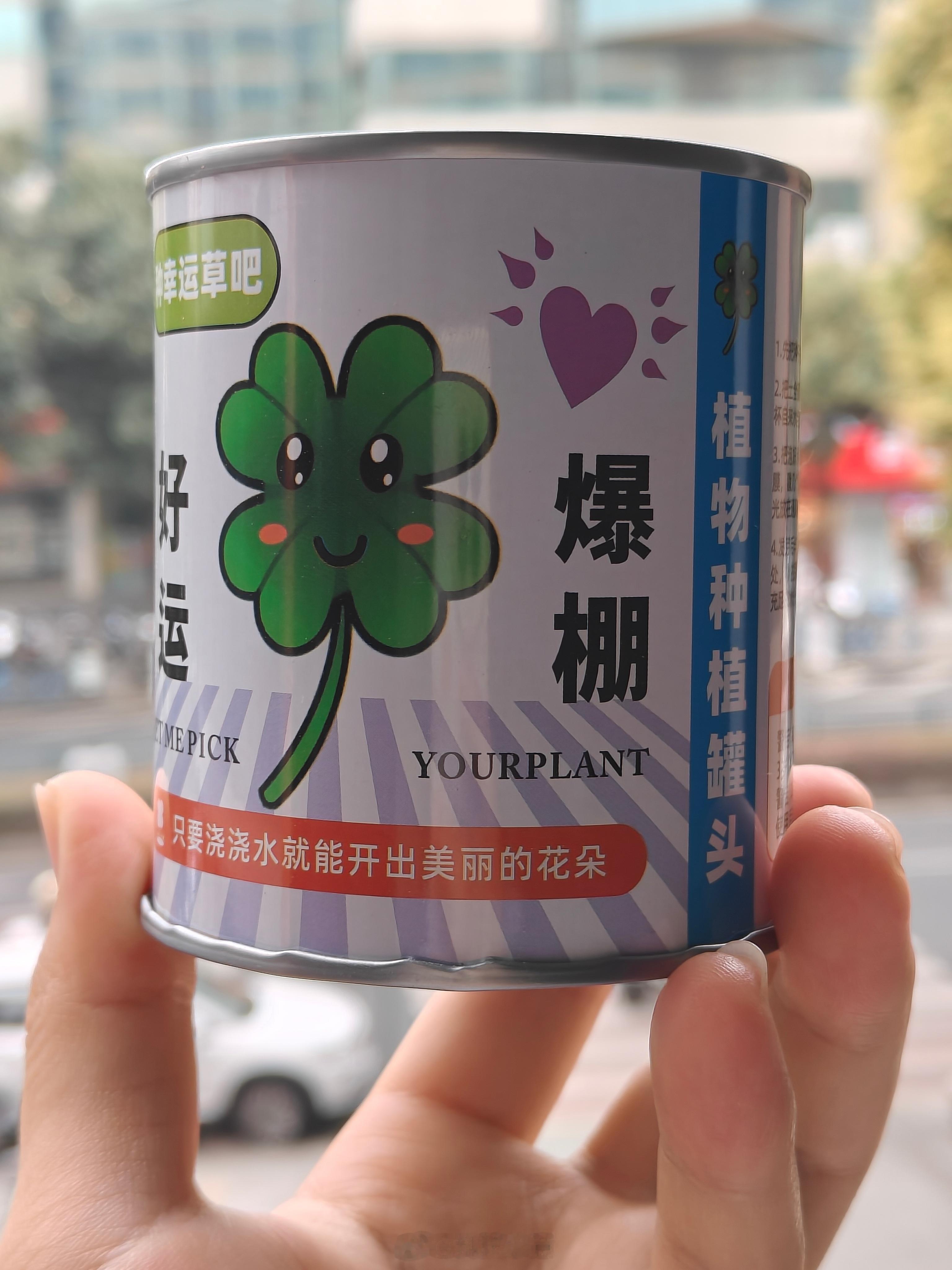 生活手记 放假前播的种子，现在发芽了！