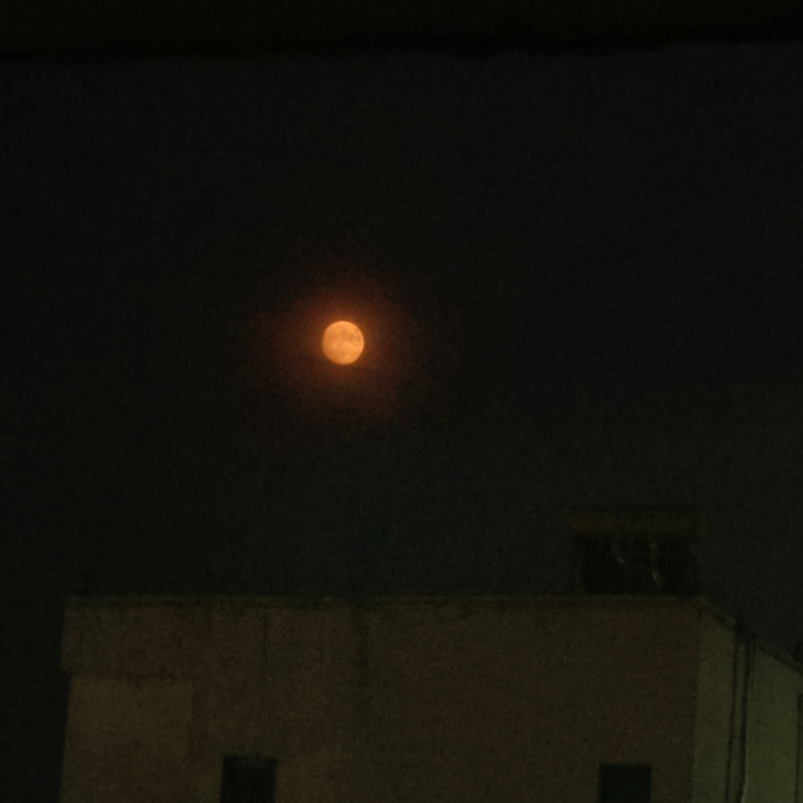 今天晚上好像出太阳了 
