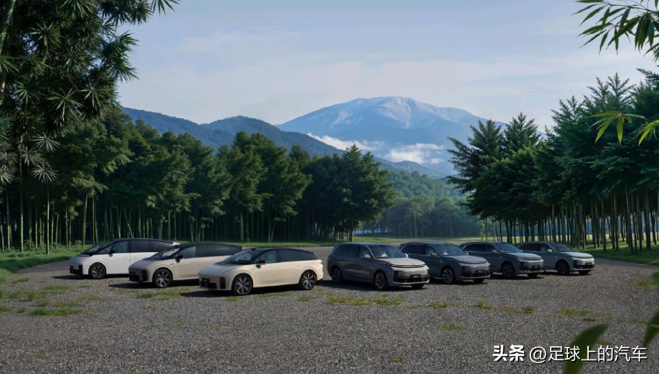 销量第一却先崩了？理想汽车的4个致命短板，内行人都看明白了
 
1、从L6到L9