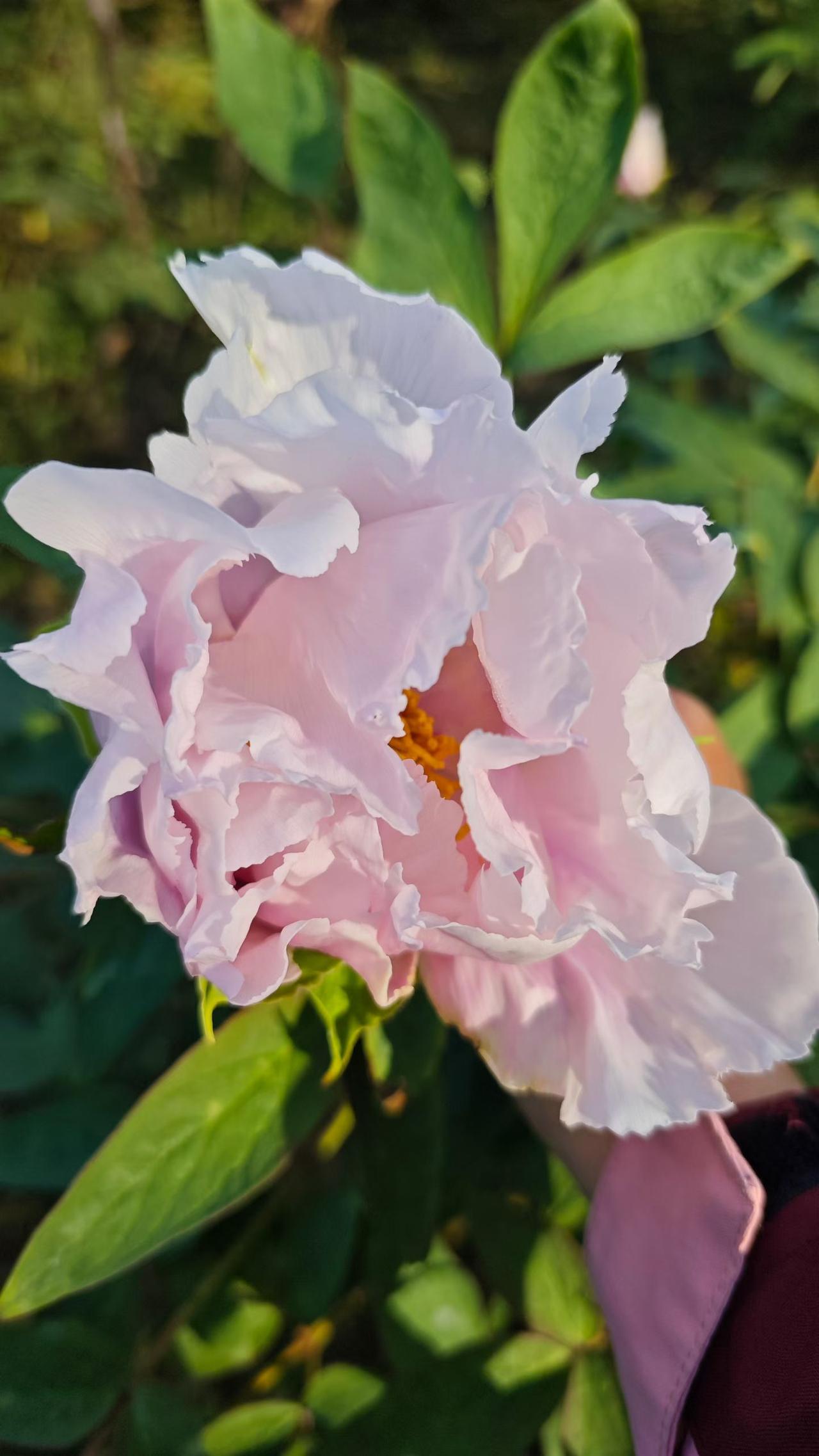 各位朋友些，今天不扯别的，就跟大家摆个掏心窝子的龙门阵——经常有人纠结“昨天、今