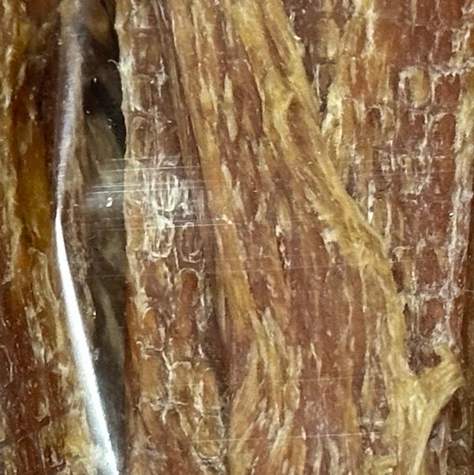 想让毛孩妈开心，就是送她毛孩喜欢的礼物。 婶婶每年都会带给毛孩的肉干来，真是感谢