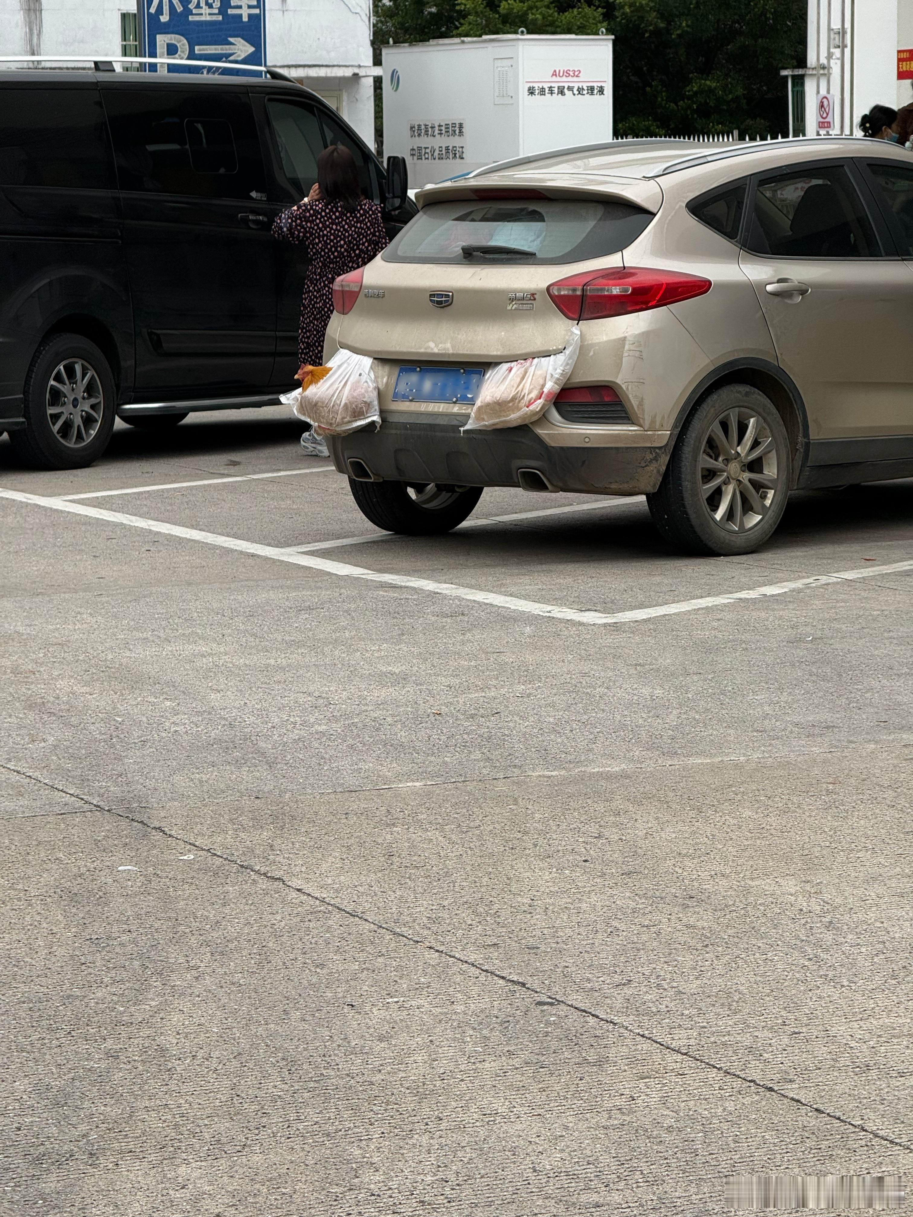 终于亲眼看到坐在后备箱外面的老母鸡了！春运