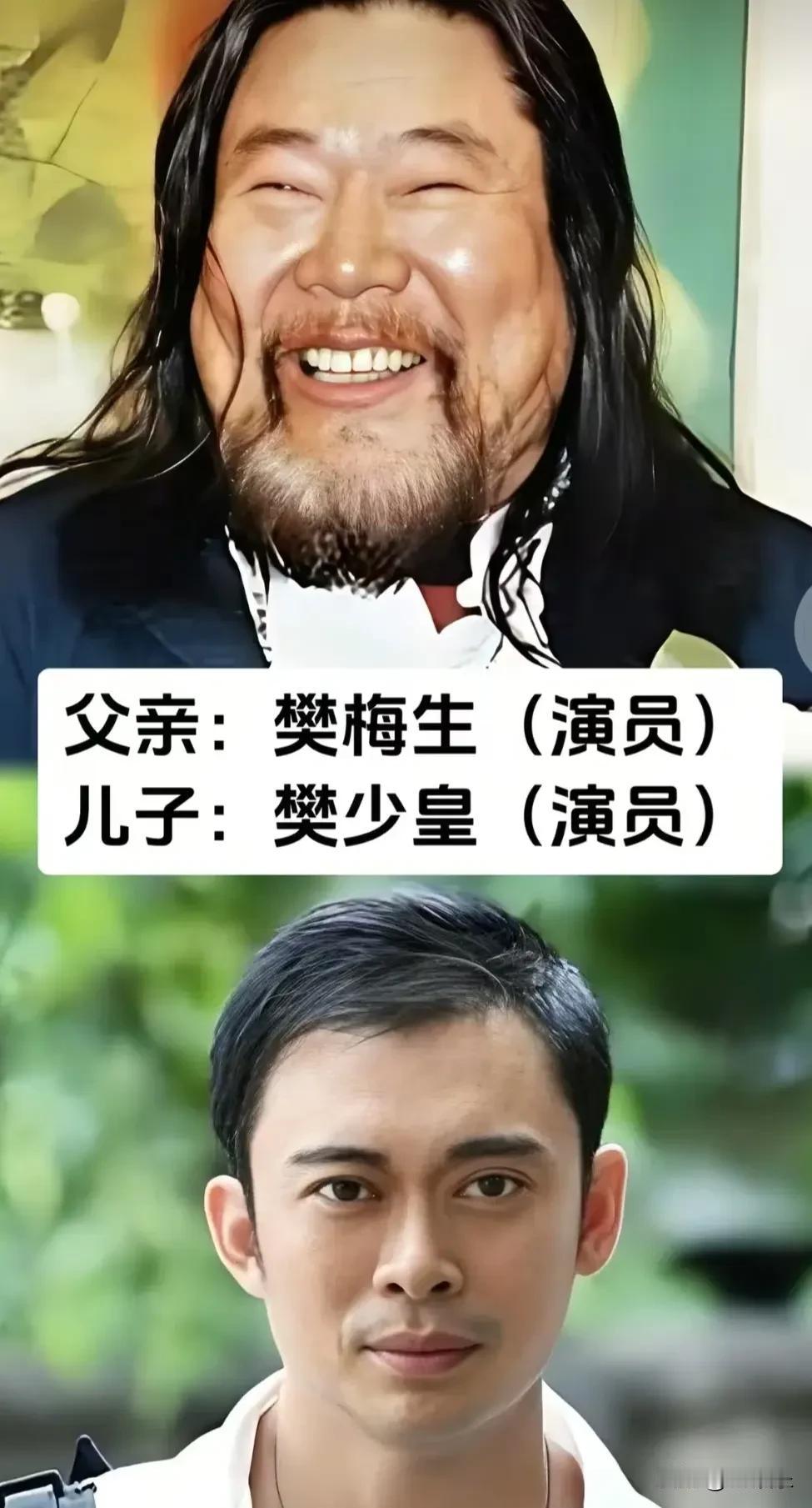 盘点影视圈低调的父子传承：樊梅生&樊少皇、刘龙&刘新、李心敏&李彦廷、王强&王南