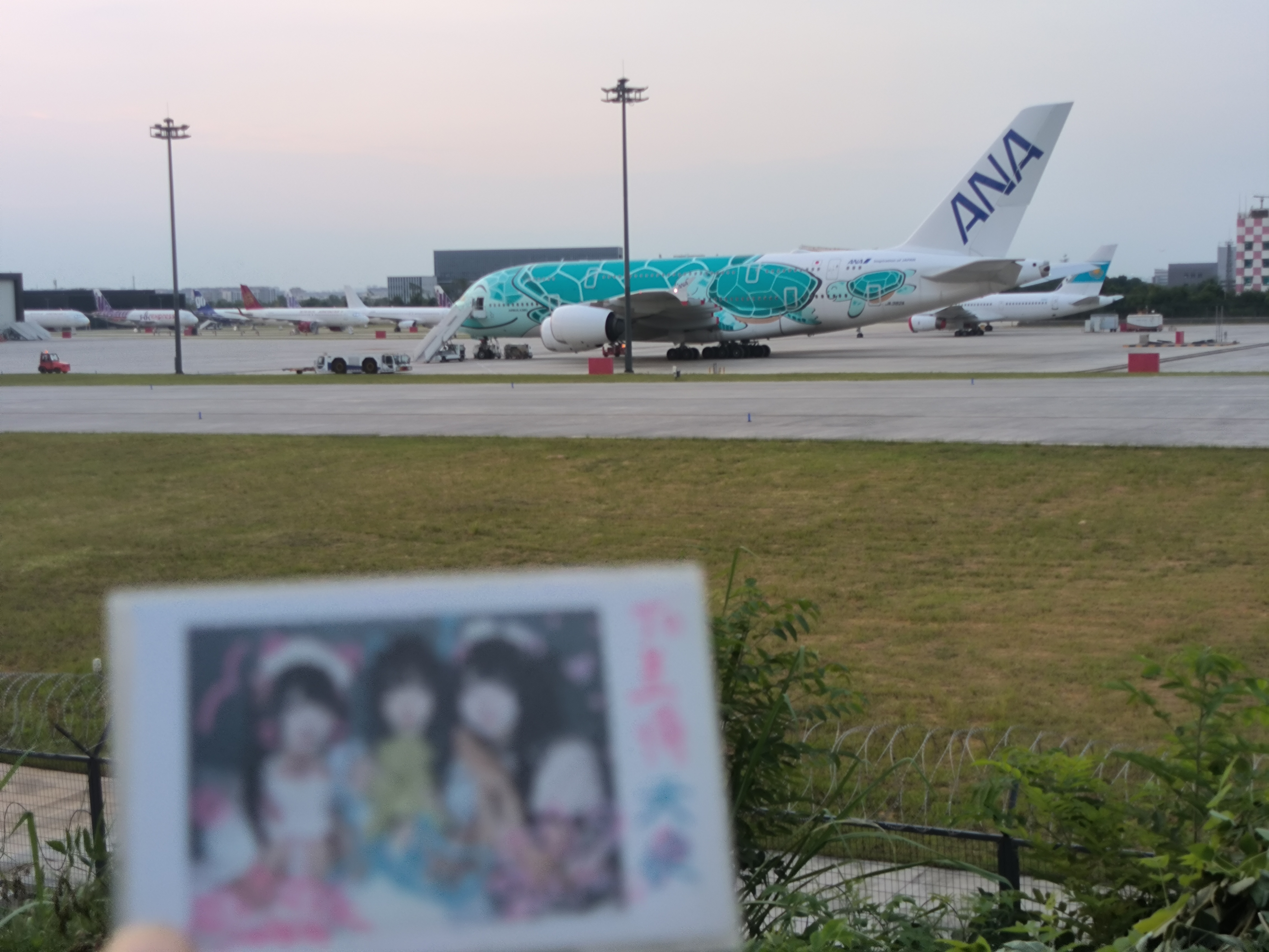 终于把本命色的绿色大海龟A380盼来了  ​​​