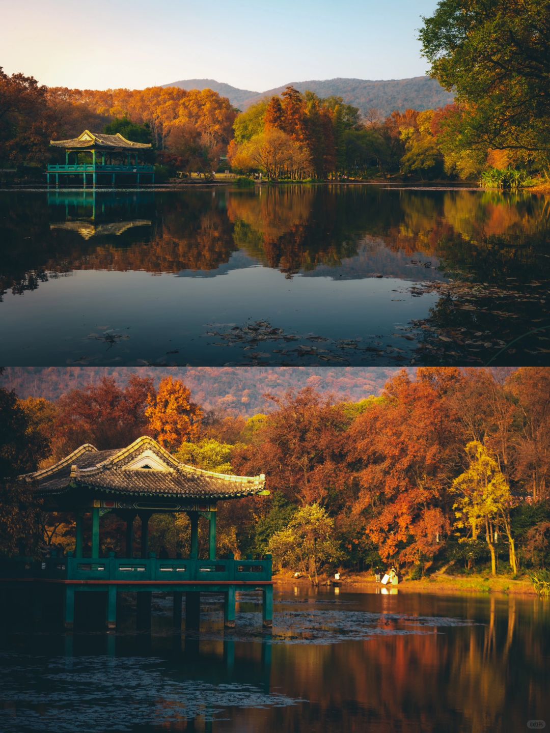 秋天🍂不要一个人去南京，美到无人擦泪！