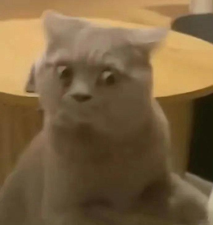 下周又要抢五一火车票了 五一的快乐从抢到火车票开始，下周开抢愿每个人都能顺利购票