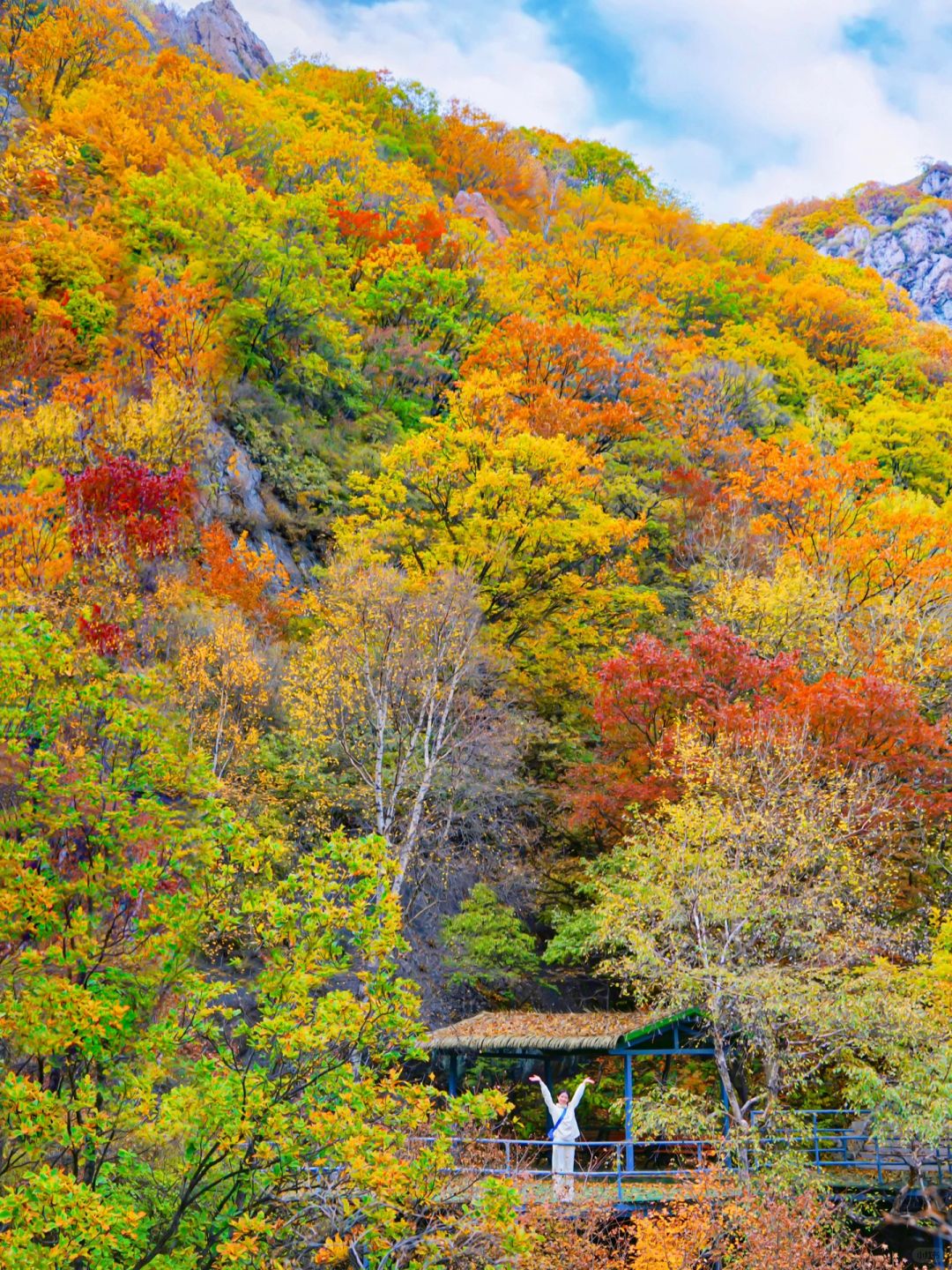 10.17实拍，北京房山赏秋🍁正当红❗️免费人少