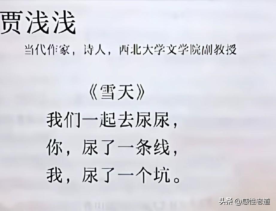 贾浅浅的诗词并不是一无是处，比如你看这一篇《朱鹮》整首诗没有晦涩难懂的词句，前四
