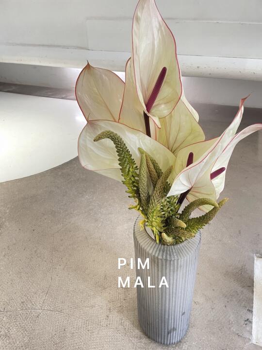 PIMMALA｜惊蛰限定