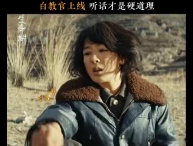 生命树开虐了被《生命树》这集虐到喘不过气！白菊刚进医院，张扬就出了意外，为了求救