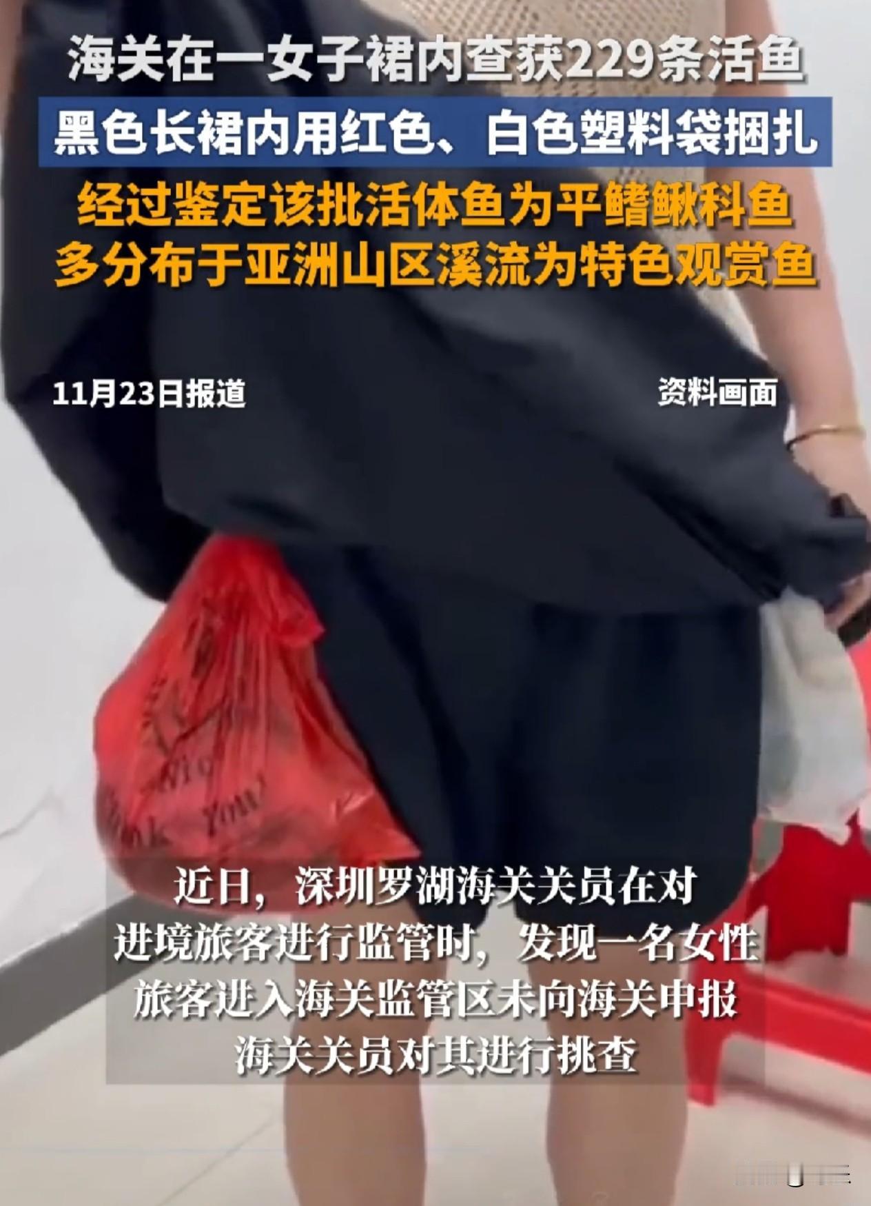 这下出名了，​不仅深圳，全国人民都知道了！

女子仅凭两个塑料袋，竟偷偷携带了2