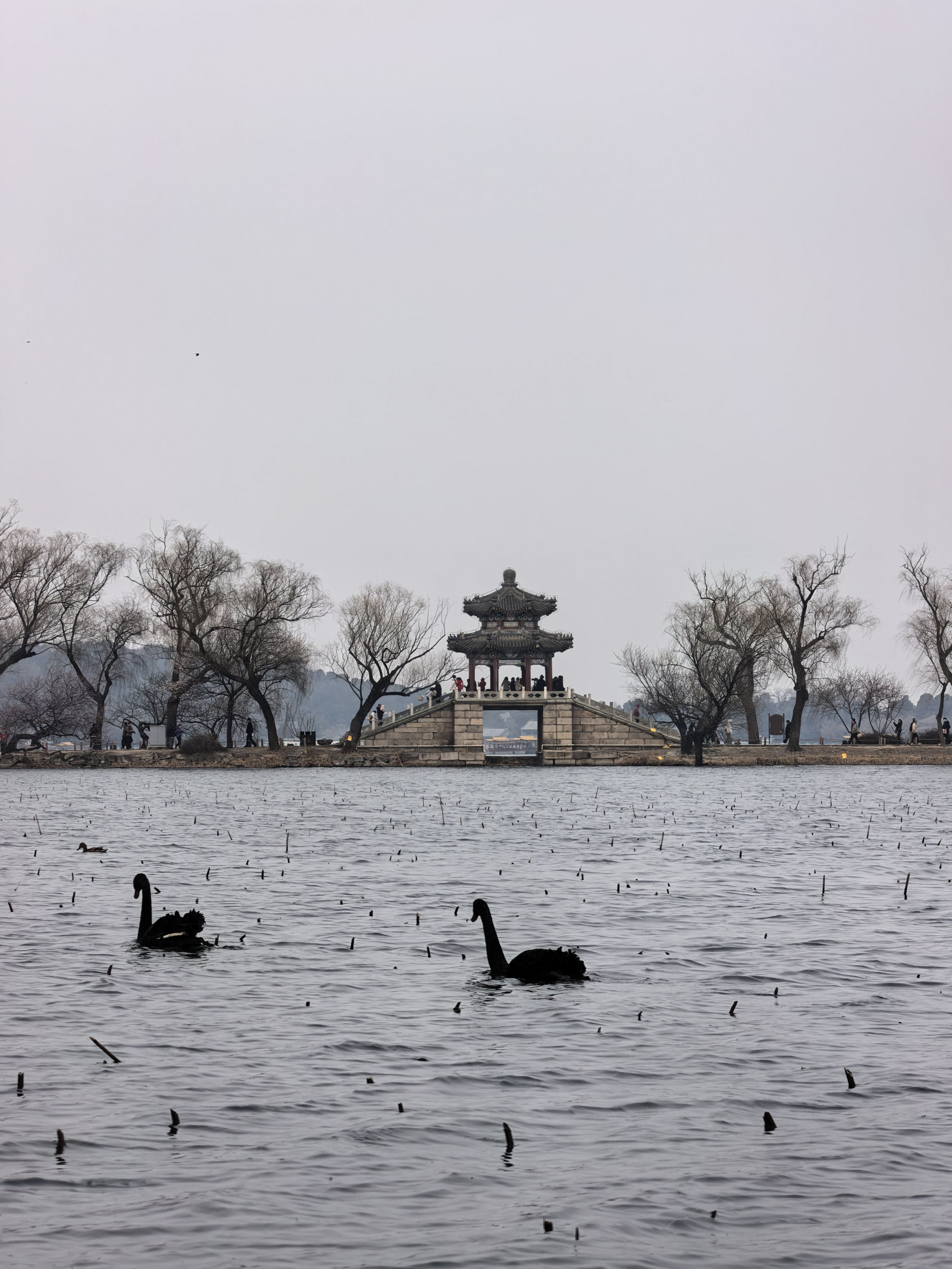 感觉到40多岁失去了方向，打算培养一个摄影方面的兴趣爱好，可好？ 