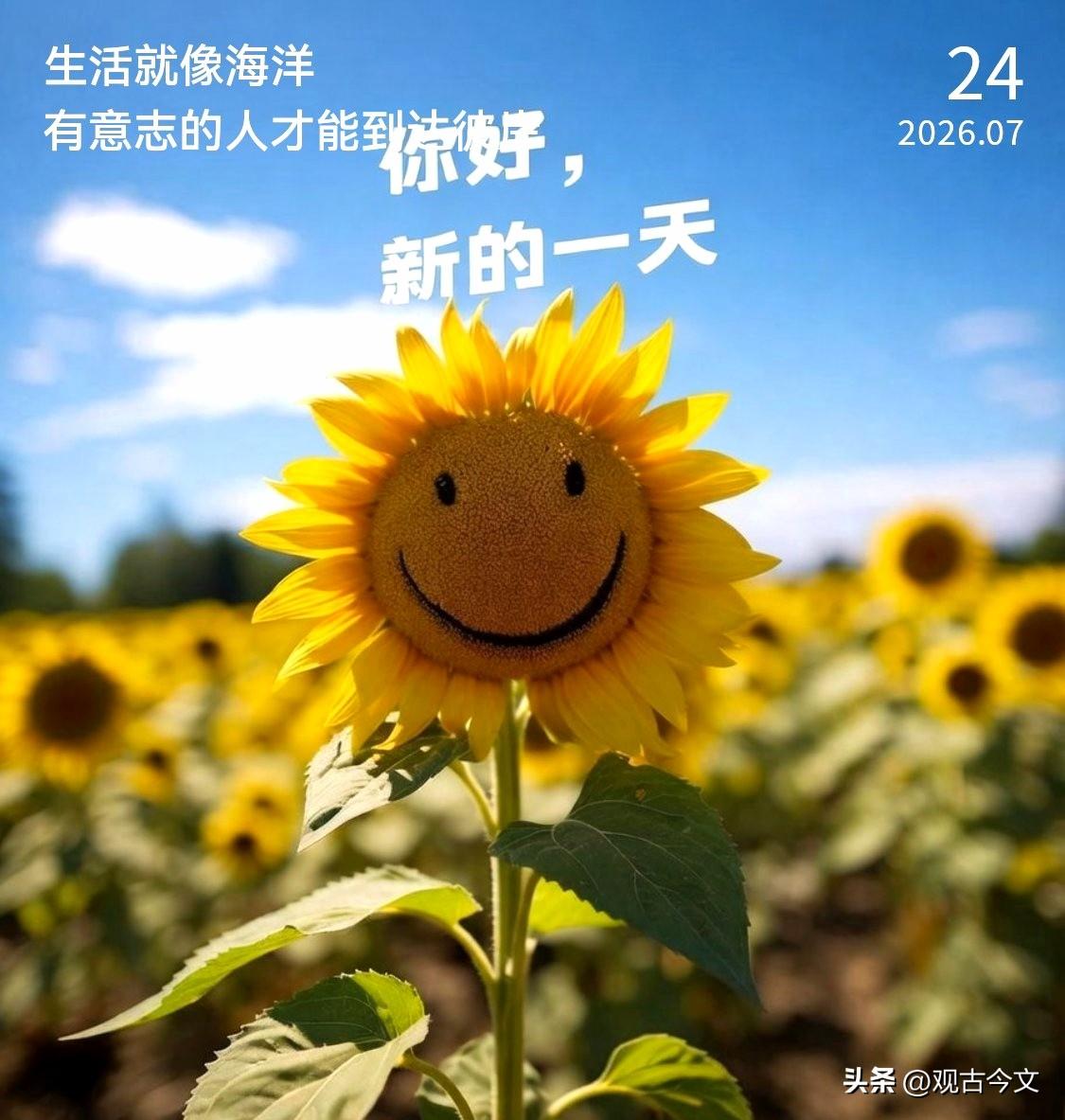 心生向阳
哪怕身处泥泞，也能心生向阳
生活总有不期而遇的温暖
和生生不息的希望
