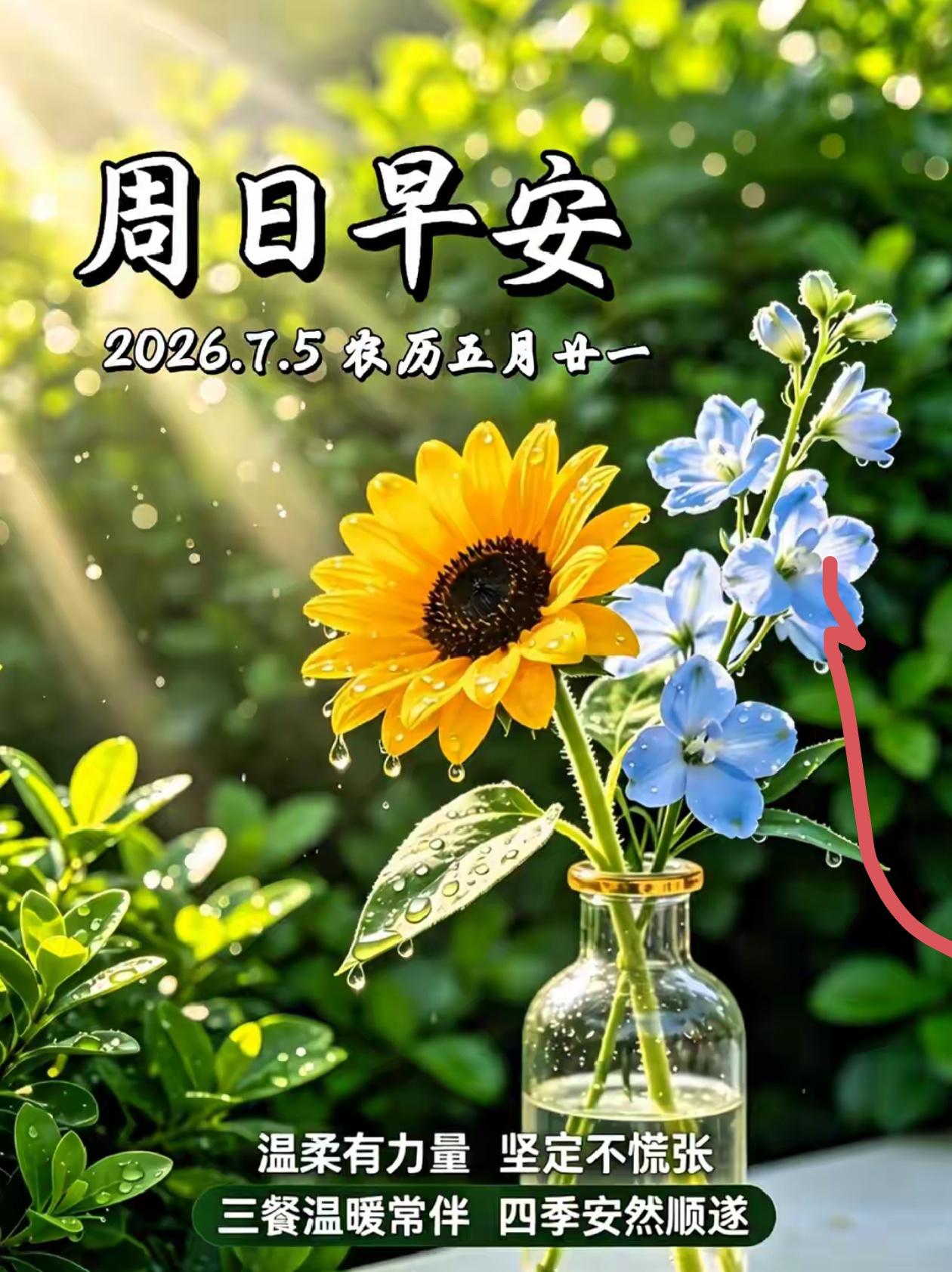 🌺2026 年7 月 5 日，盛夏安然，福气绵长🌺

🌿🌸夏日时光悠悠流