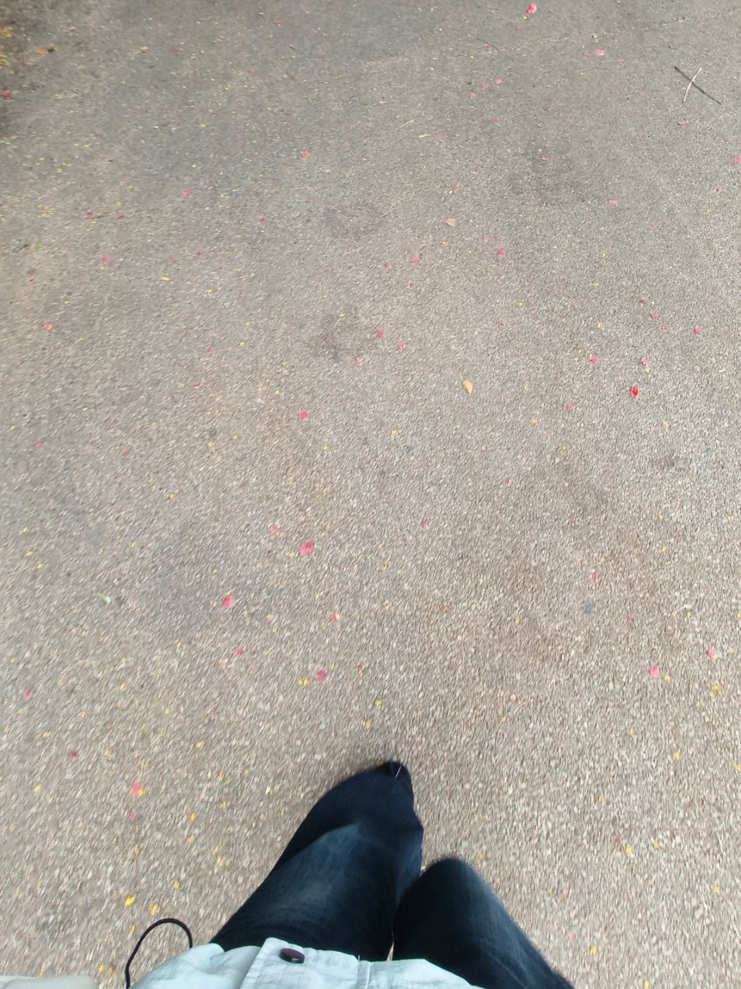 其实大学一点也不好，我想你了