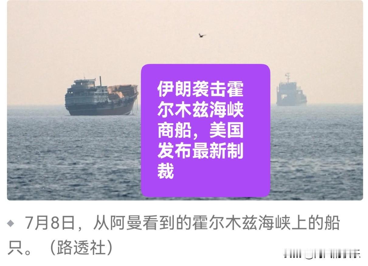 伊朗袭击霍尔木兹海峡商船，美国发布最新制裁

   据外媒CNN报道，特朗普政府