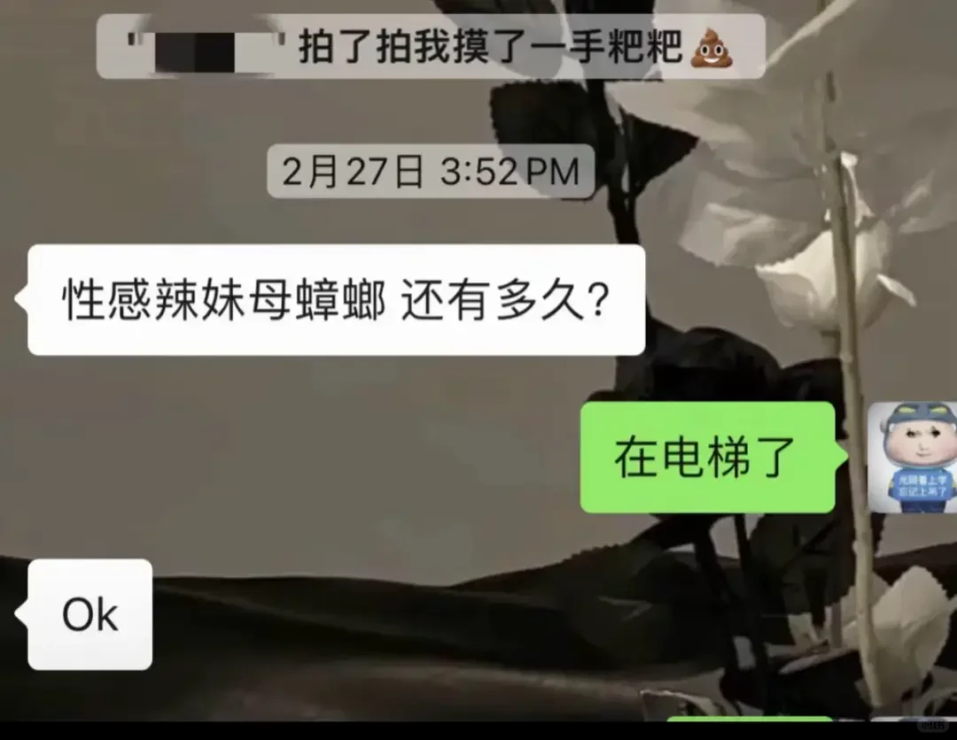 领导叫我性感辣妹母蟑螂