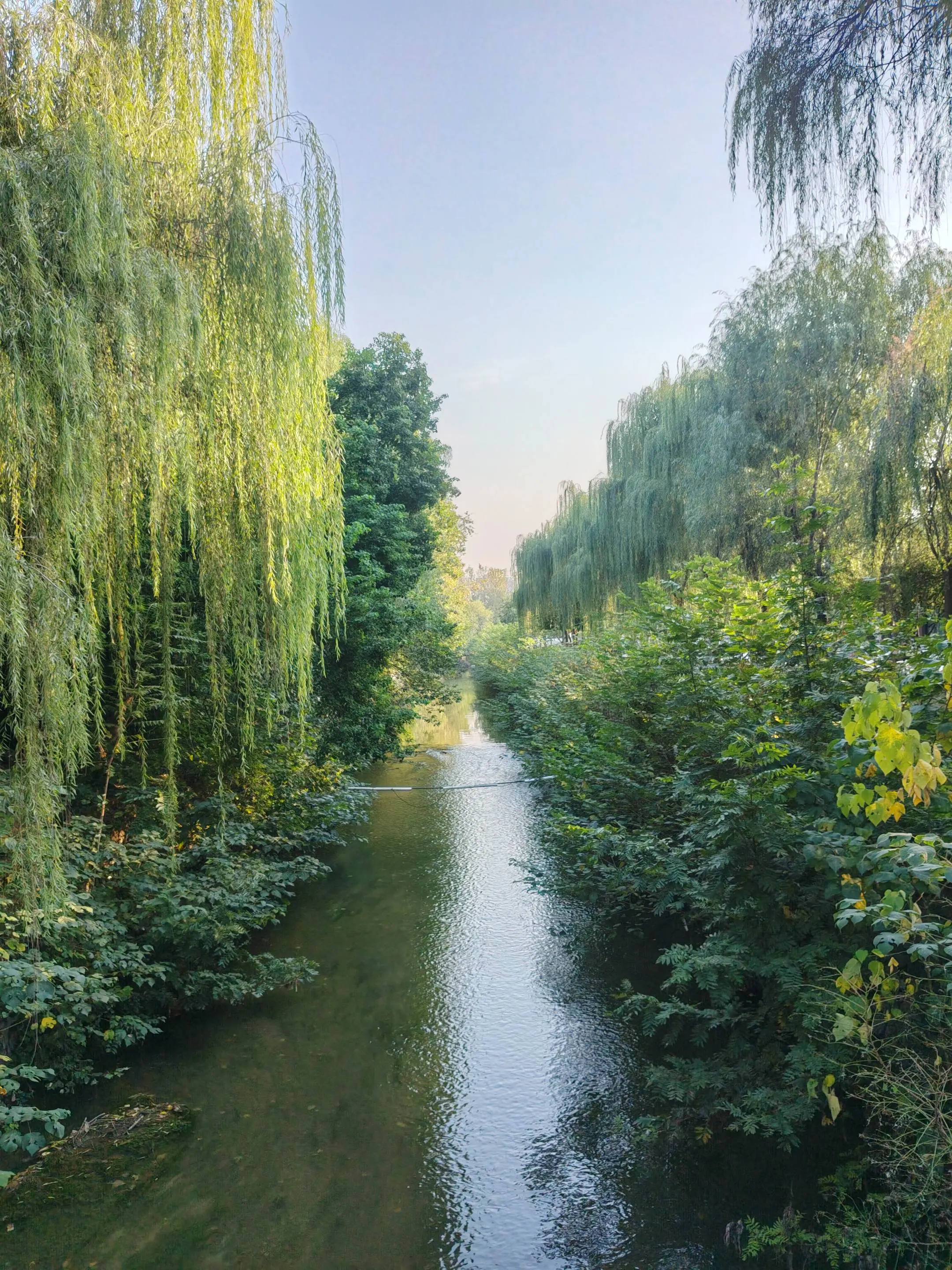 醉人的隋唐城遗址秋天。本来想拍个秋日大片，结果柳树绿得比我还精神。这哪...