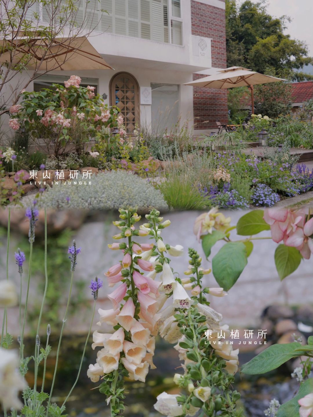 花园设计｜童话般的粉色梦境花园