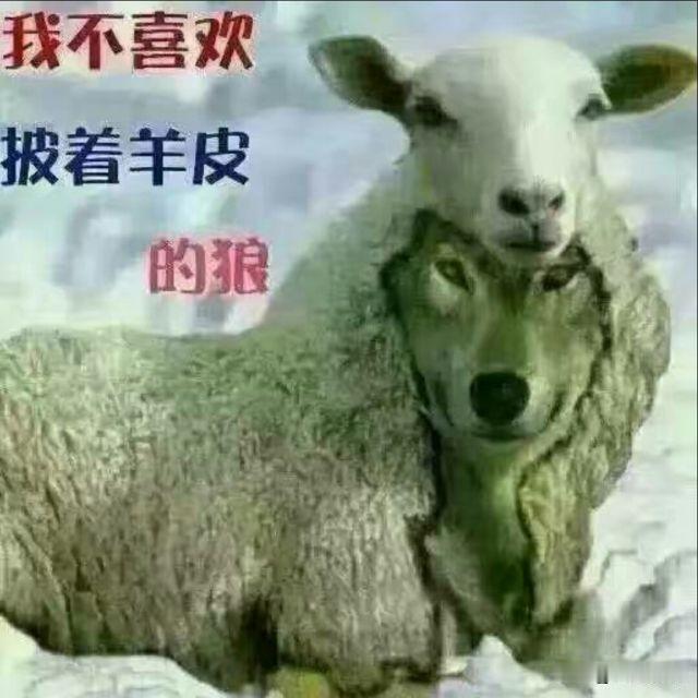 你认为杨显东是好人还是坏人
