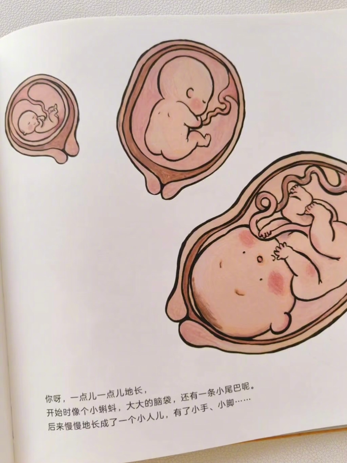 绘本分享丨《亲爱的宝贝》文字简单却句句戳心，满是日常里的小温暖“陪你学翻身、学走